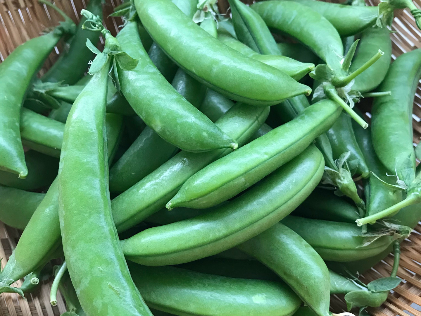 7日間限定！お買得価格☆自然栽培スナップエンドウ1kg：徳島県