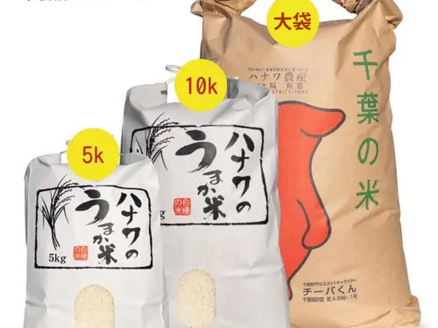 令和6年産】多古米 コシヒカリ 10kg（精米）：千葉県産の