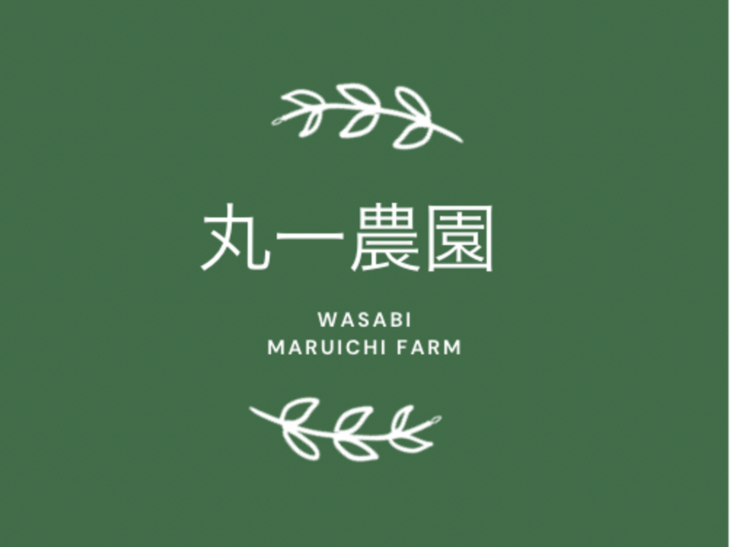厳選【農林水産大臣賞受賞】風味を味わう！有東木産•本わさび5