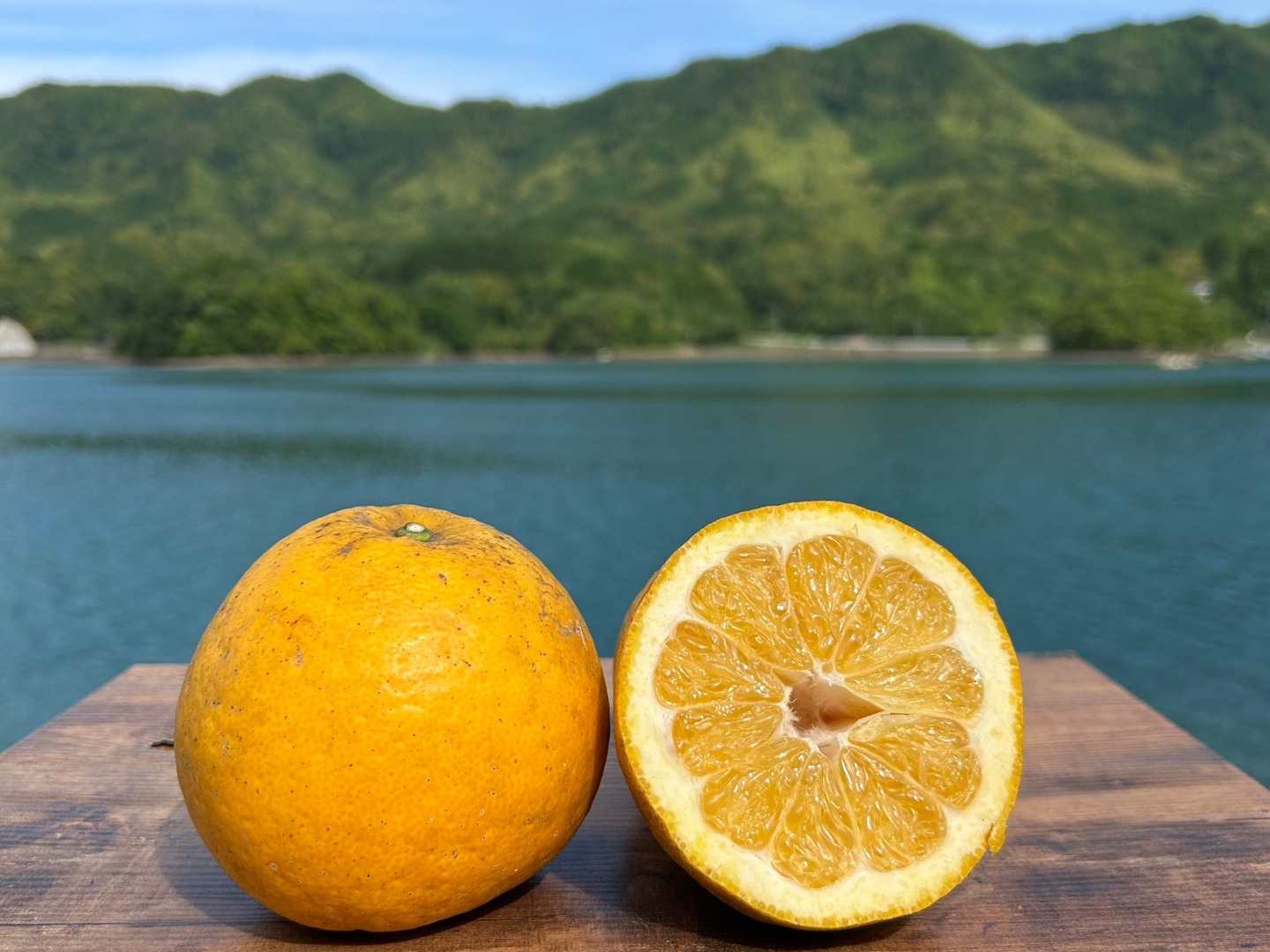 【SALE／10%OFF 箱込み4kg 紅河内晩柑&甘夏 栽培期間中に農薬、化学肥料不使用 果物