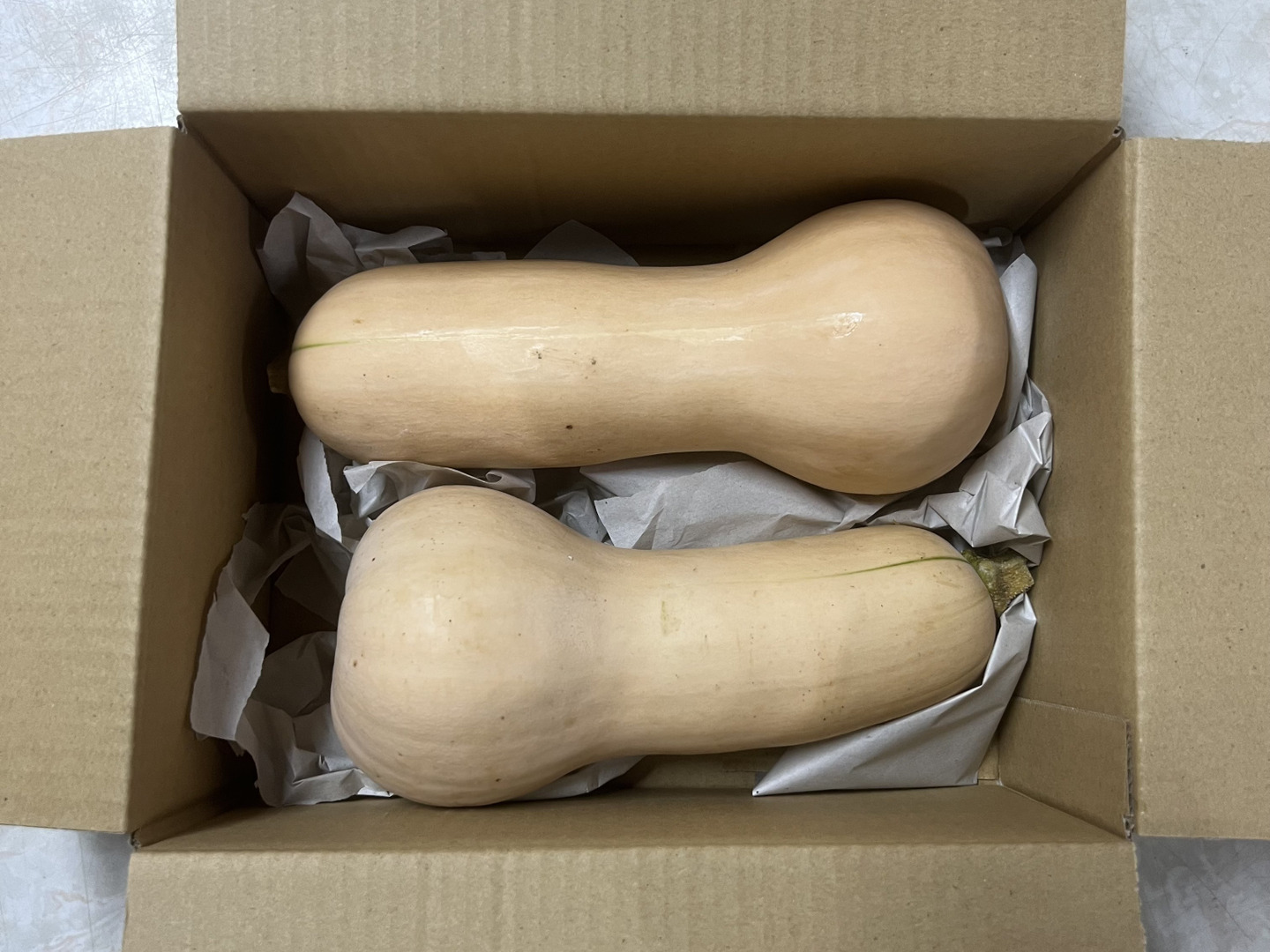 完熟バターナッツかぼちゃ　２０kg ねっとり濃厚！バターナッツかぼちゃ【5㎏】＃栽培期間中農薬