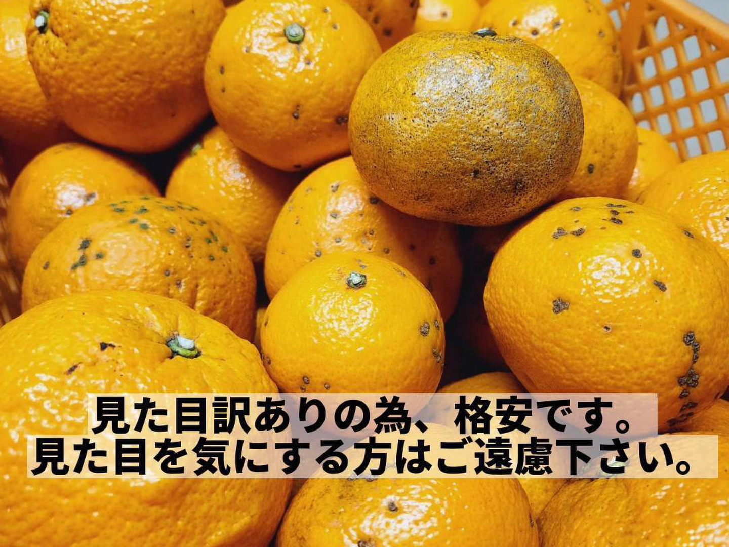最先端 超お得》20kg（2箱）1800円！『 紅甘夏 』初夏の味☆ 収穫数限定 果物