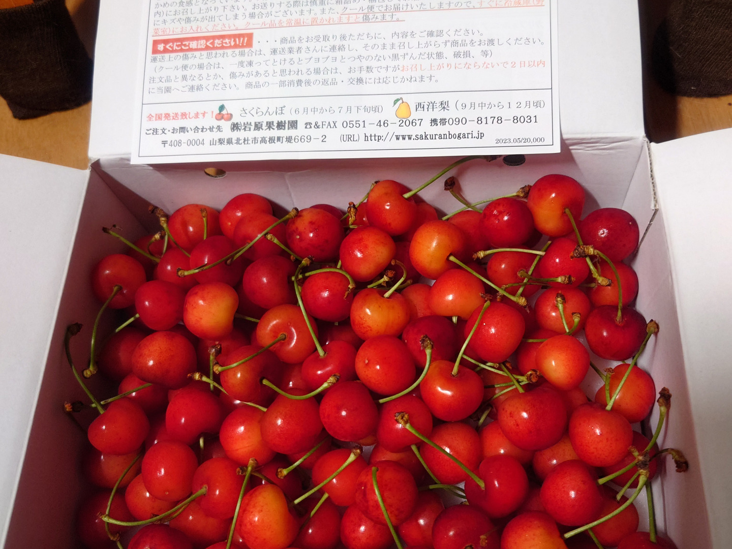 超熱 先行予約】大玉で高糖度！さくらんぼ 2～3L バラ 約1,000g：山梨 果物