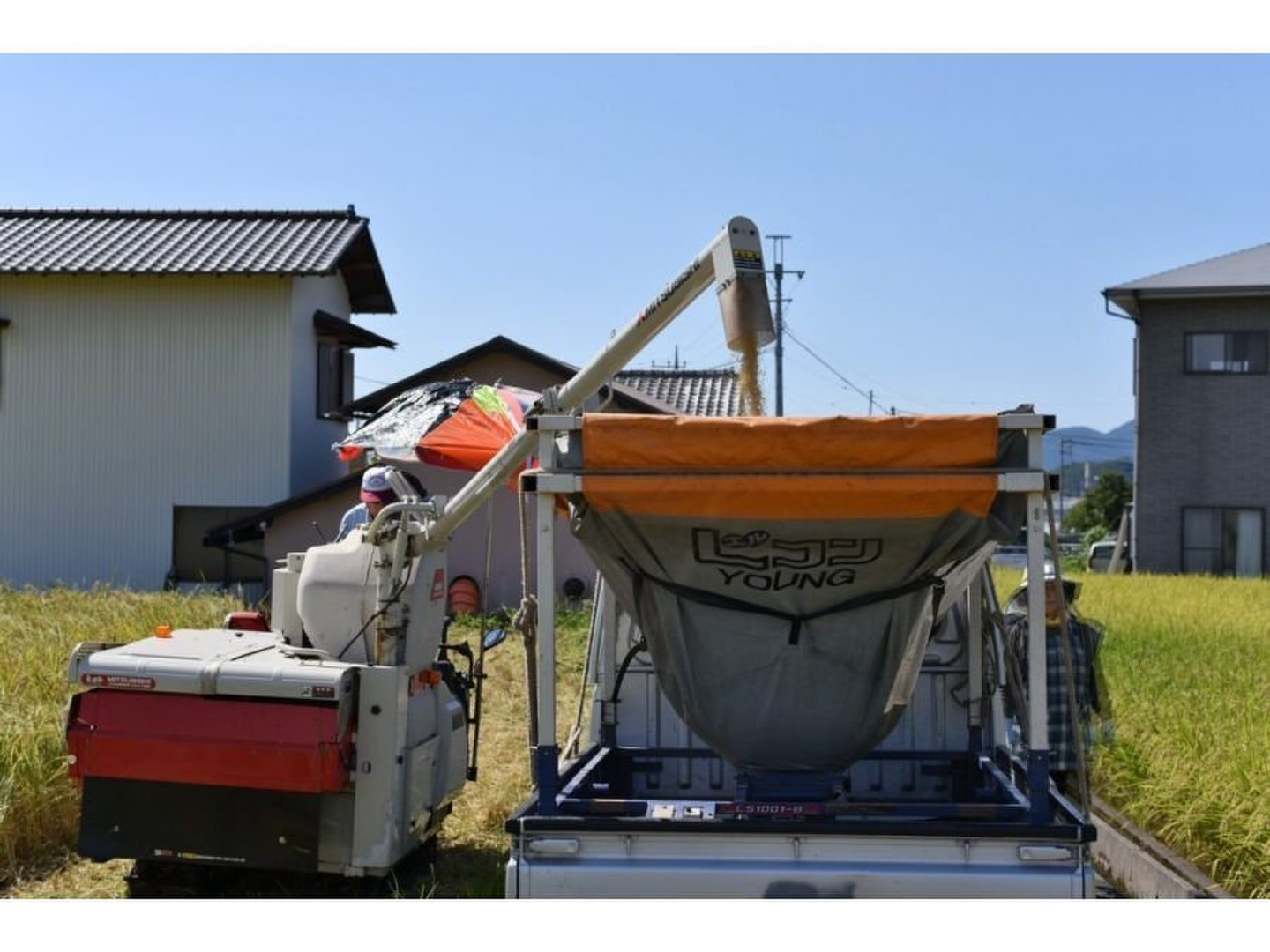 令和5年産 炊くとふっくら！霊峰富士山の湧き水が作った絶品