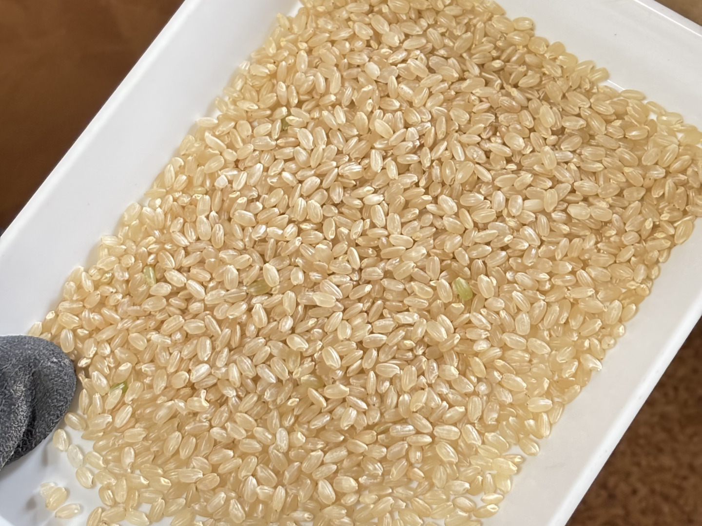 秋田産 あきたこまち 【玄米】10kg 新米】秋田県産あきたこまち玄米10kg【令和7年（2025年）秋収穫