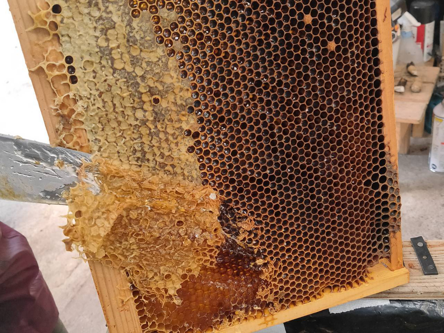 添加物なし】天然はちみつ 600g 蜂蜜 ハチミツ セイヨウミツバチ