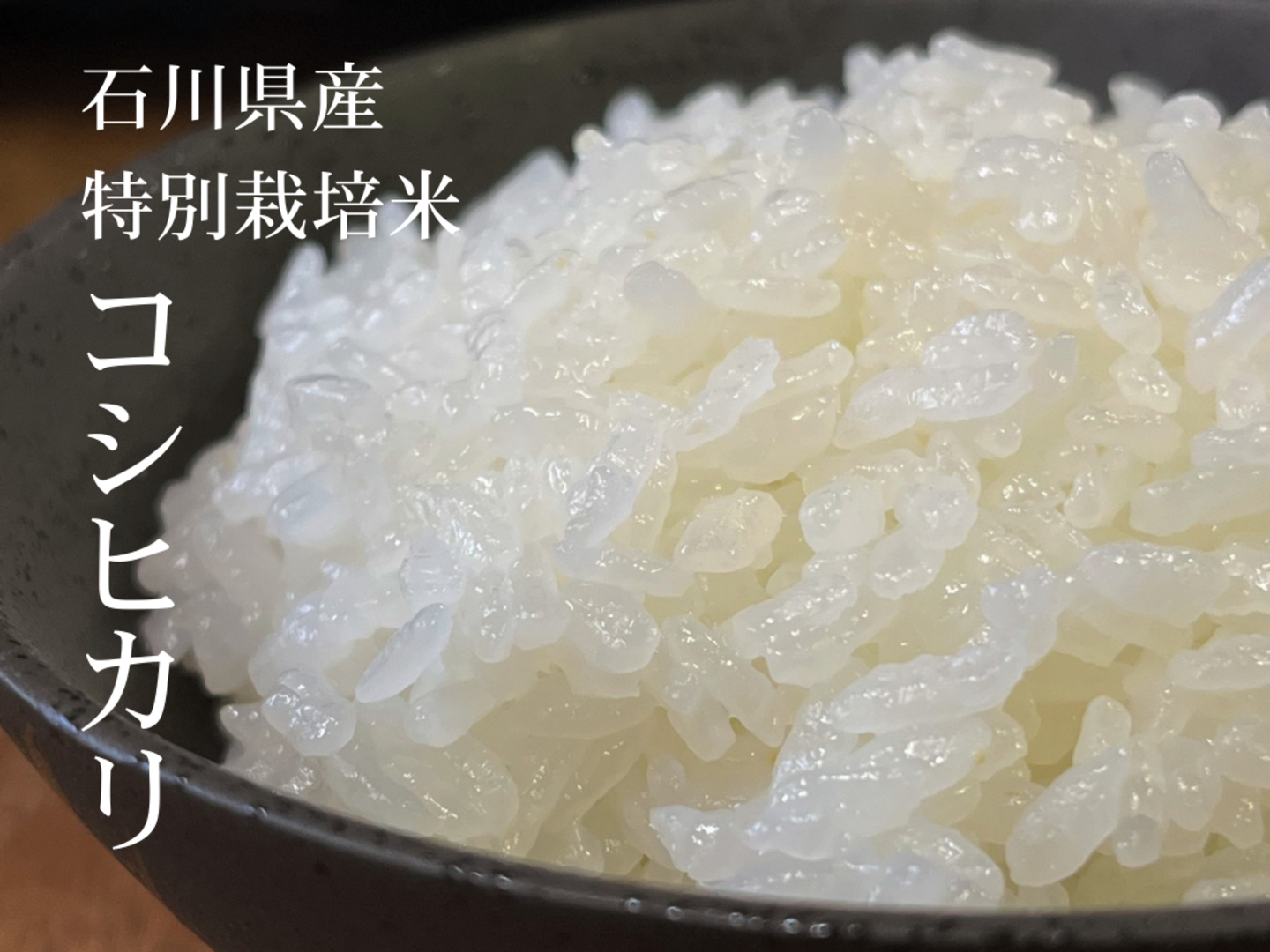 令和6年産】特別栽培米コシヒカリ（白米）2kg 石川県産：石川県