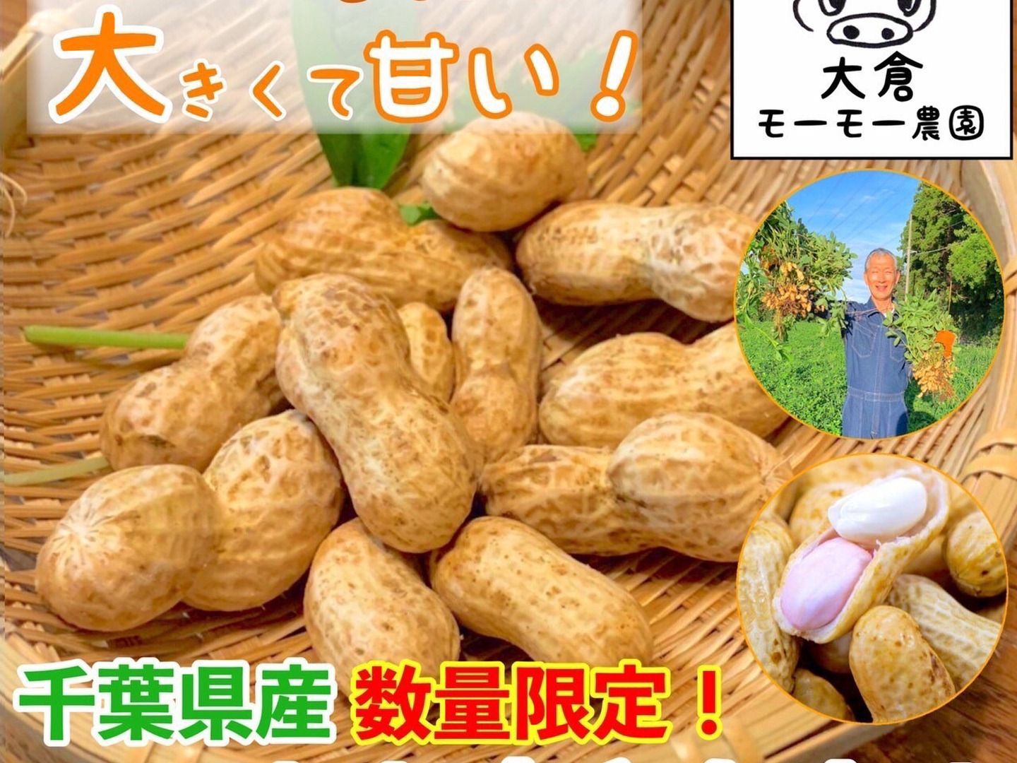 おおまさりネオ】千葉県産 生落花生！極大粒で1Kg 新豆2025年