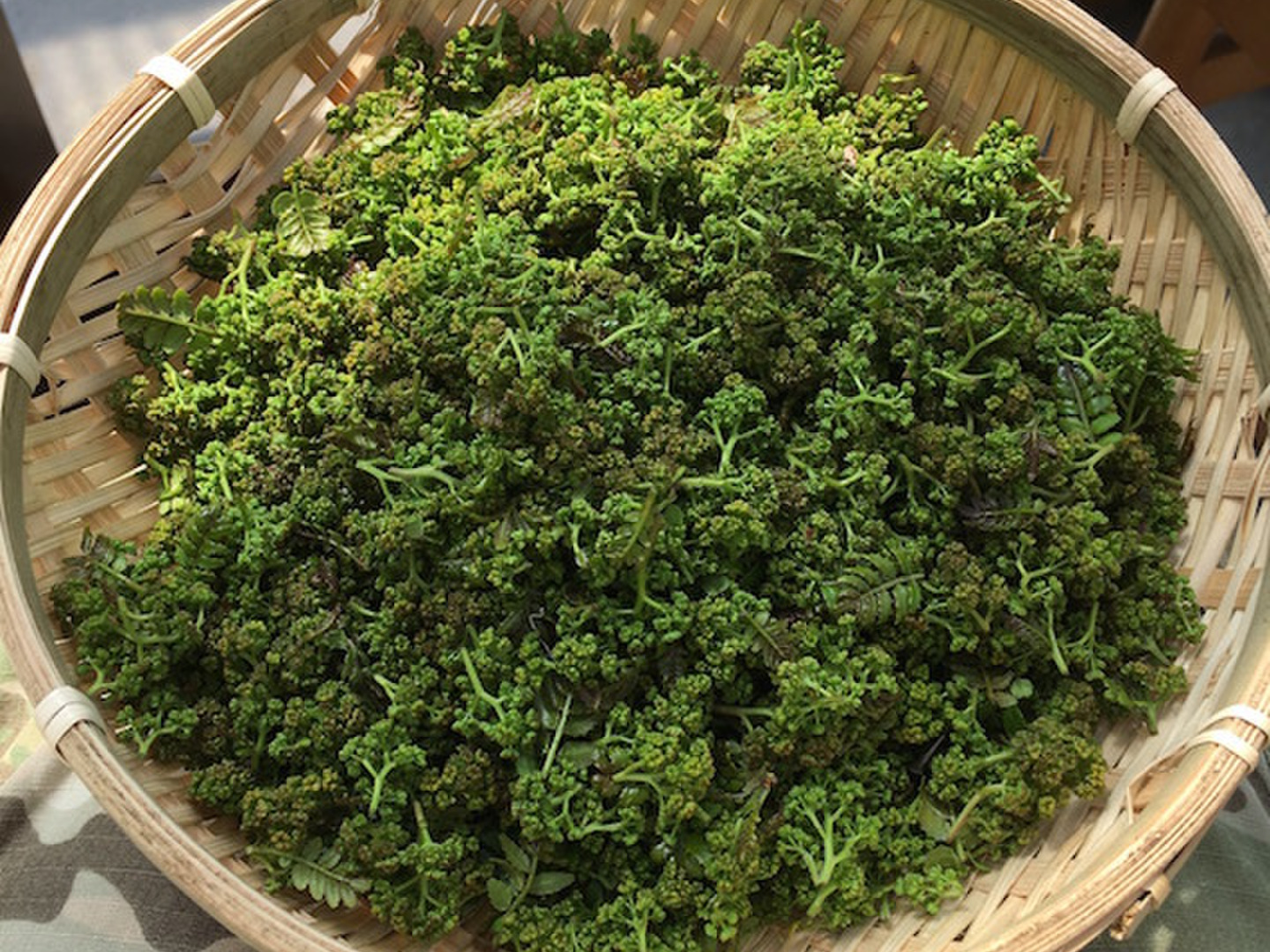 おすすめ人気ランキング2024年 予約商品/キャンセル不可】気品ある香り！花山椒100g （美山産 野菜