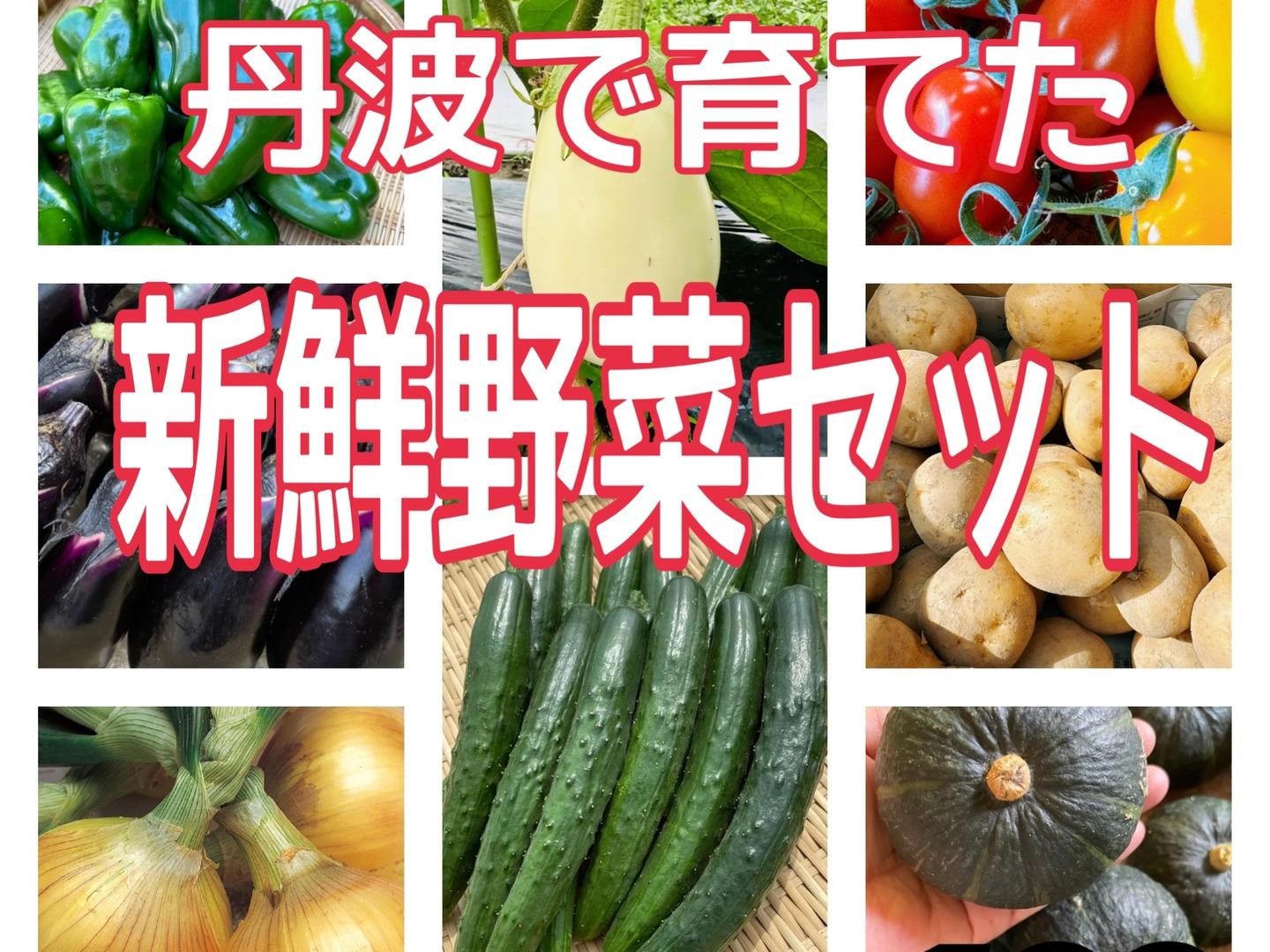 totomon様 野菜セット お米5K 旬のお野菜セット‼️：兵庫県産の野菜セット｜食べチョク｜産地直送