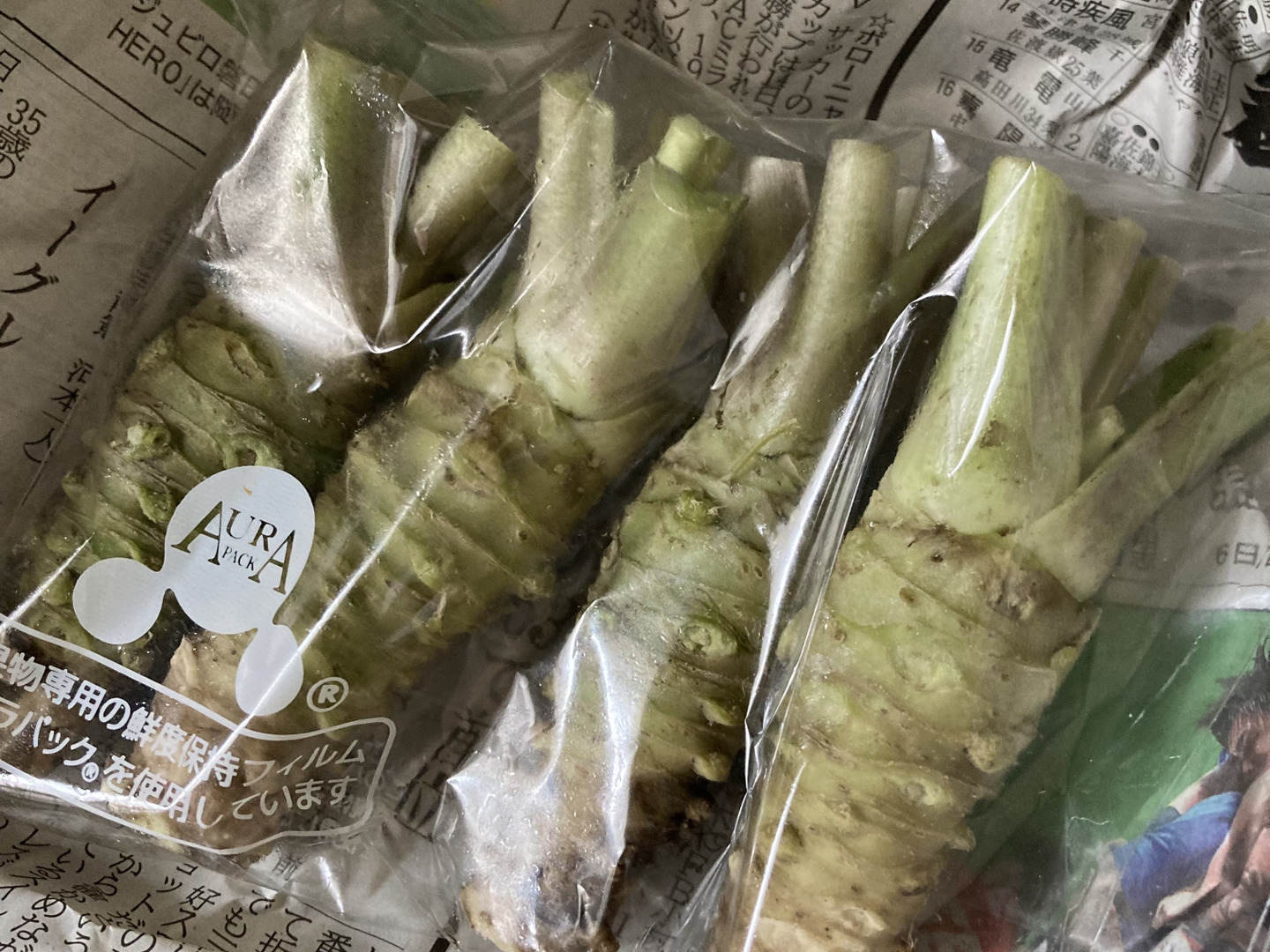 生わさび大きめ　１㌔分10本前後　5月5日か6日発送 国内配送】 生わさび大きめ1㌔分10本前後 食品 5日(月)発送 野菜