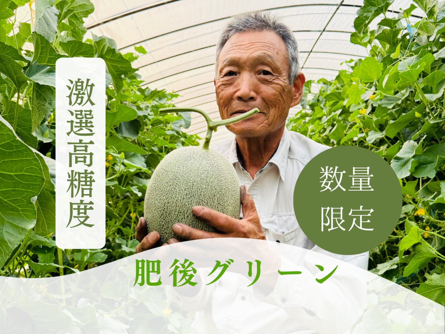 激選】肥後グリーン！熊本県産糖度16度超えメロン 2個入り 4.0kg