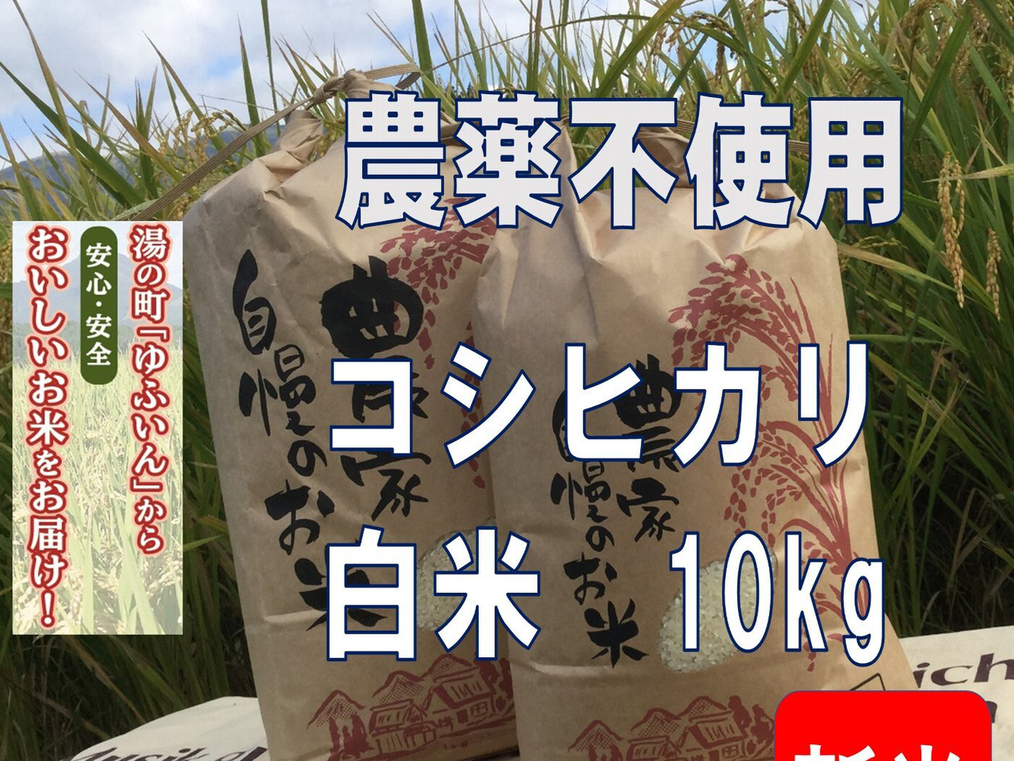 季節のおすすめ商品 令和6年新米】ゆふいんのめぐみ“コシヒカリ白米10kg”：大分県産 米/穀物