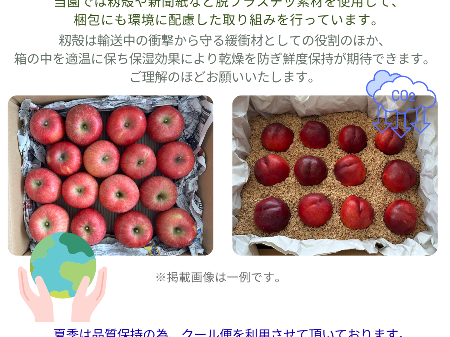 生産農家直送 早生ワッサー ご家庭用 3kg 長野県産 化学肥料不