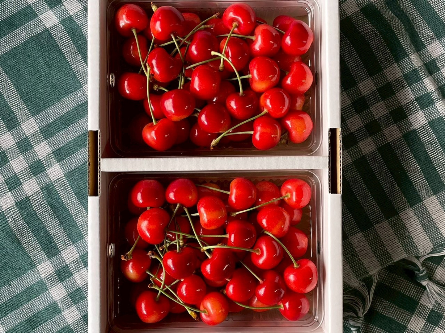 やまがた紅王🍒さくらんぼ新品種！パックバラ500g2Lサイズ：山形県産の