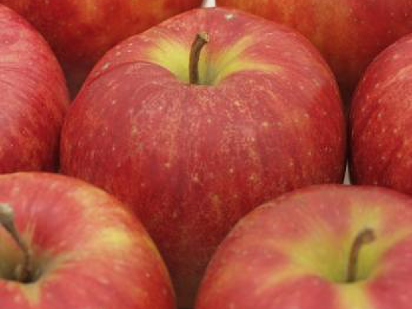 🍎わずか6％希少林檎ジョナゴールド🍎市場になかなか出回らない