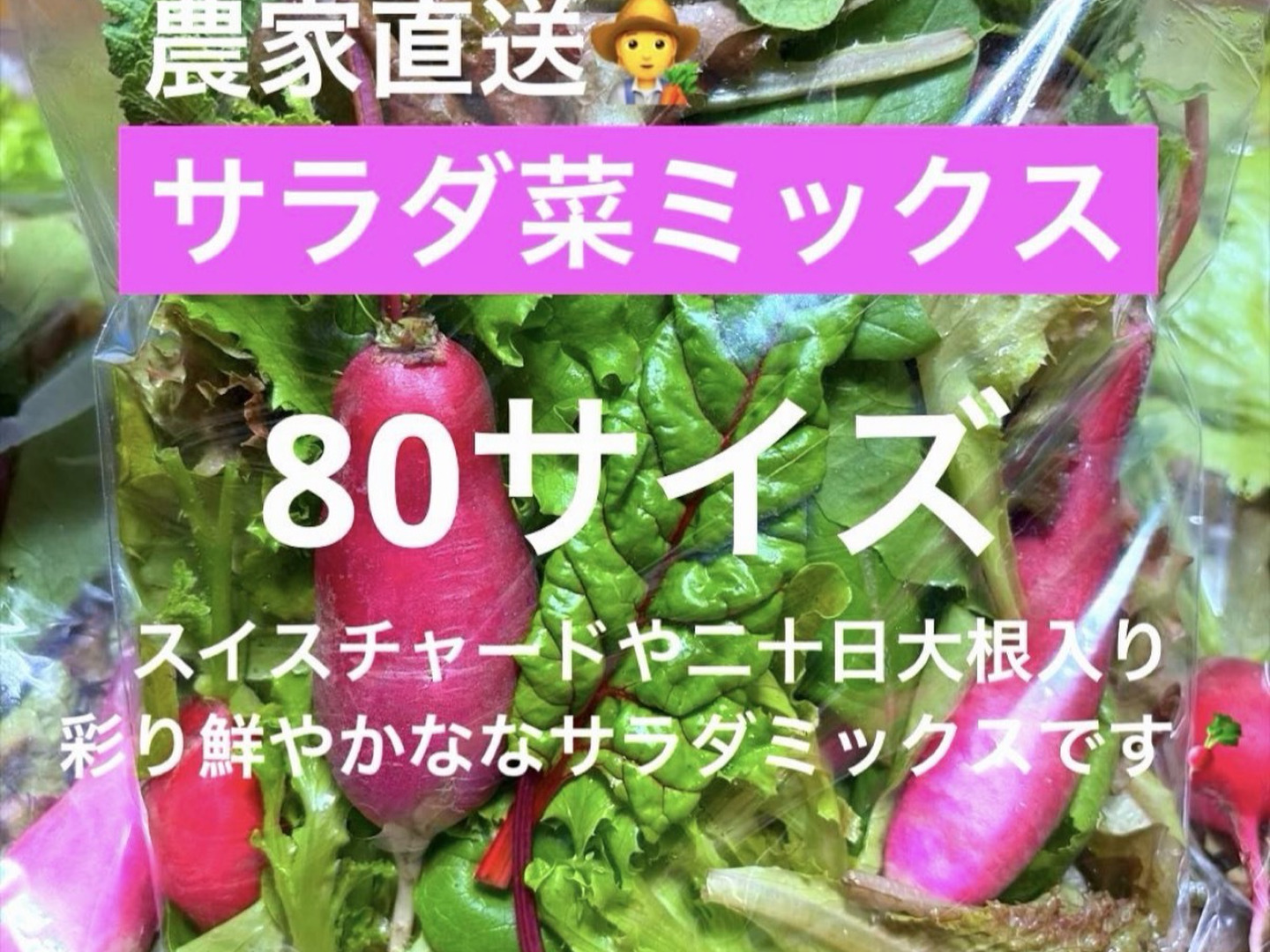 農家直送 サラダ菜ミックス 80サイズの箱いっぱい：埼玉県産のその他葉