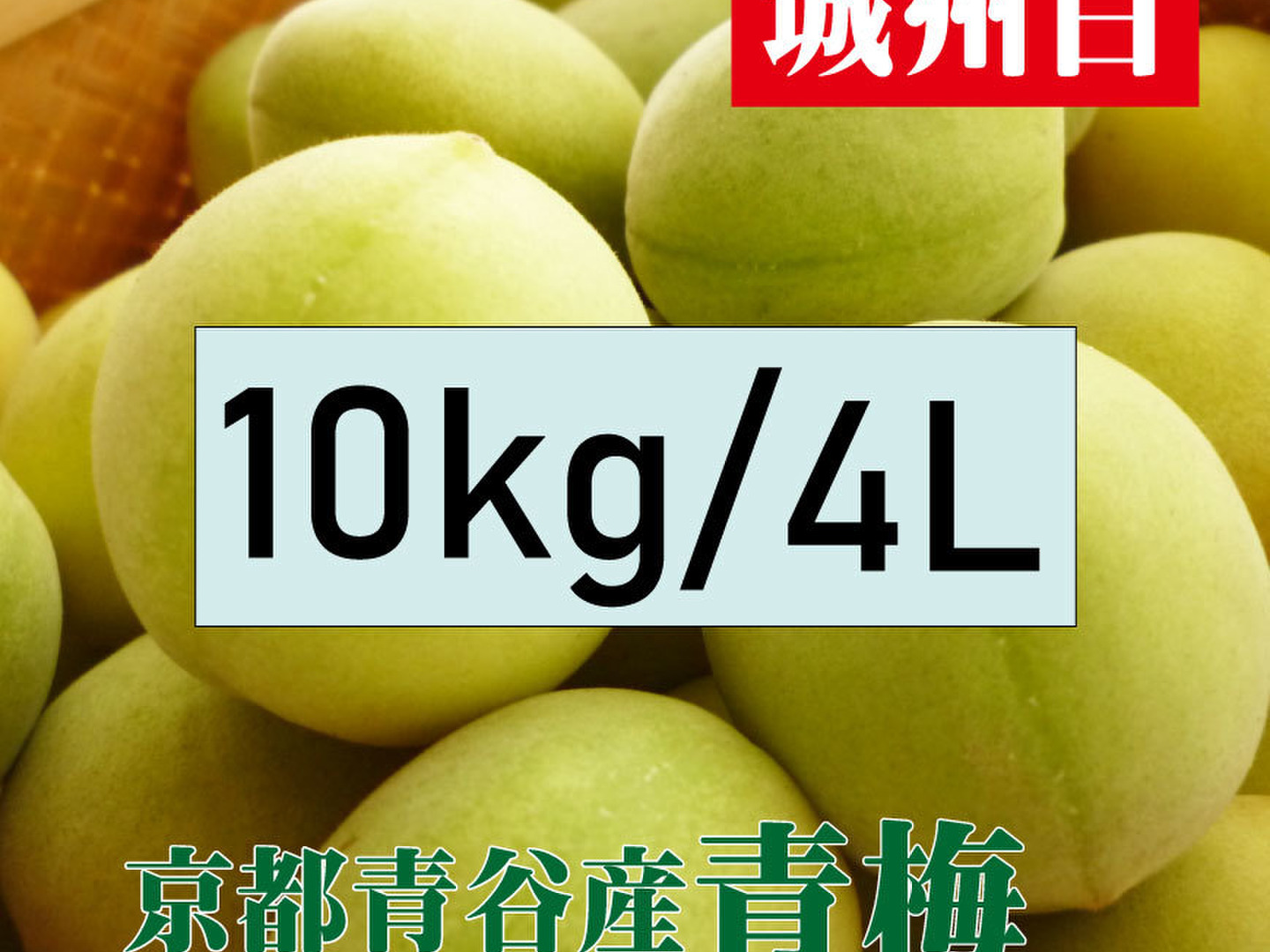 予約販売【青梅】京都青谷産「城州白」(10kg, 4L) 香りの良さが