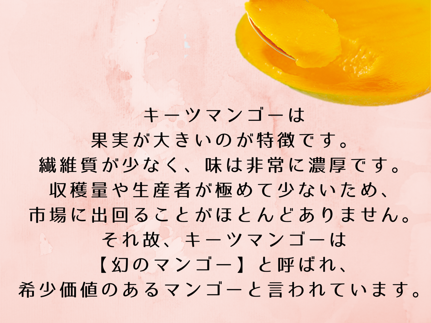 宮古島産　高品質キーツマンゴー 3個セットまたは2個セット　贈答にもおすすめ キーツマンゴー1.2〜1.5kg 2玉 本場の宮古島マンゴー 8月上旬