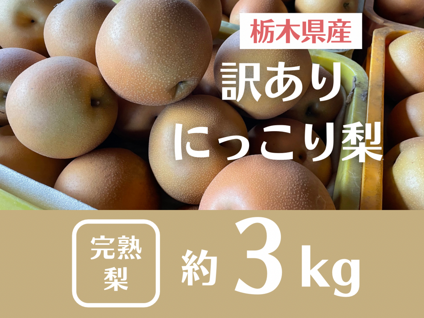 人気アイテムランキング(新品)  eaa2823730fb89e194a6c6f237d79c 果物