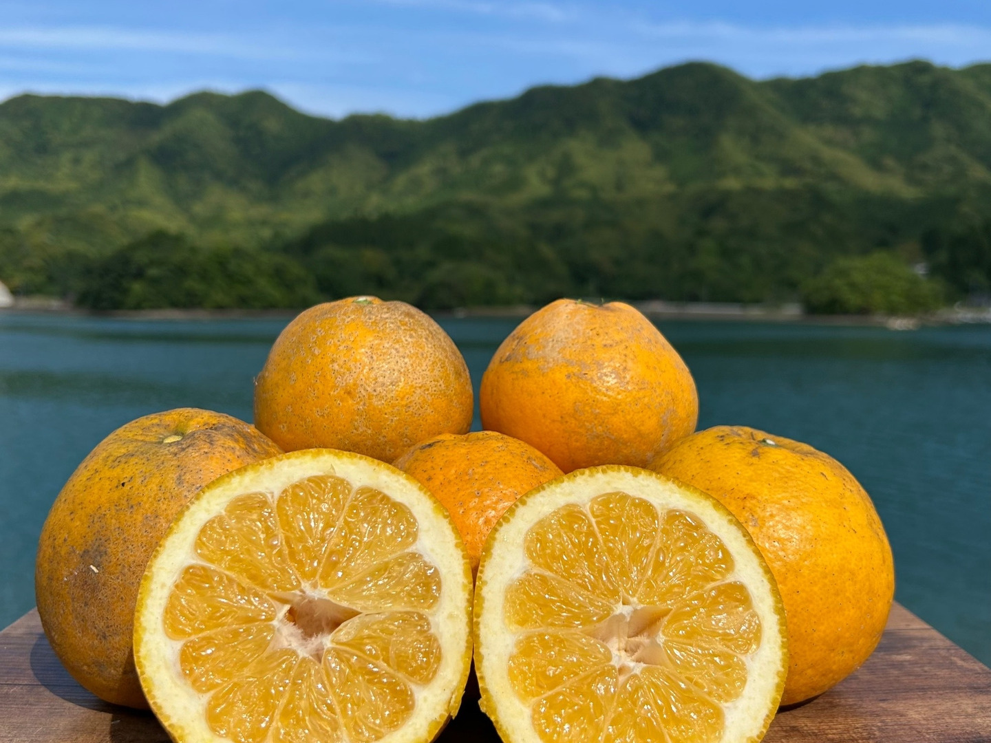 箱込み4kg 栽培期間中に農薬、化学肥料不使用の河内晩柑と自然