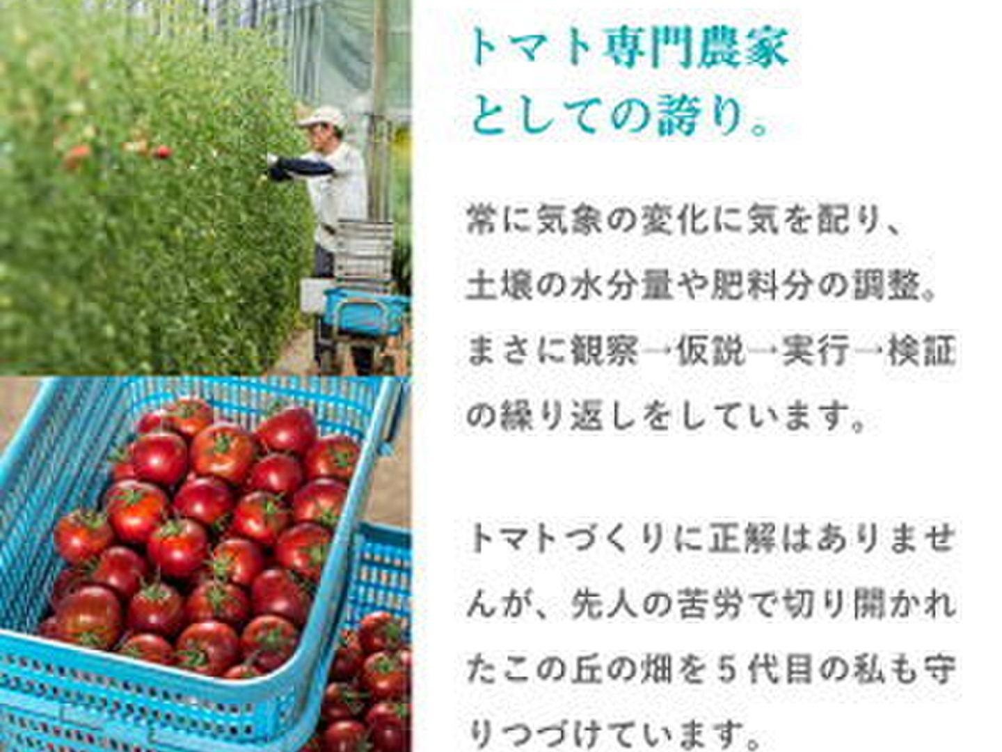 楽天市場】トマトジュース 720ml 北海道 南富良野町 鳥羽農園
