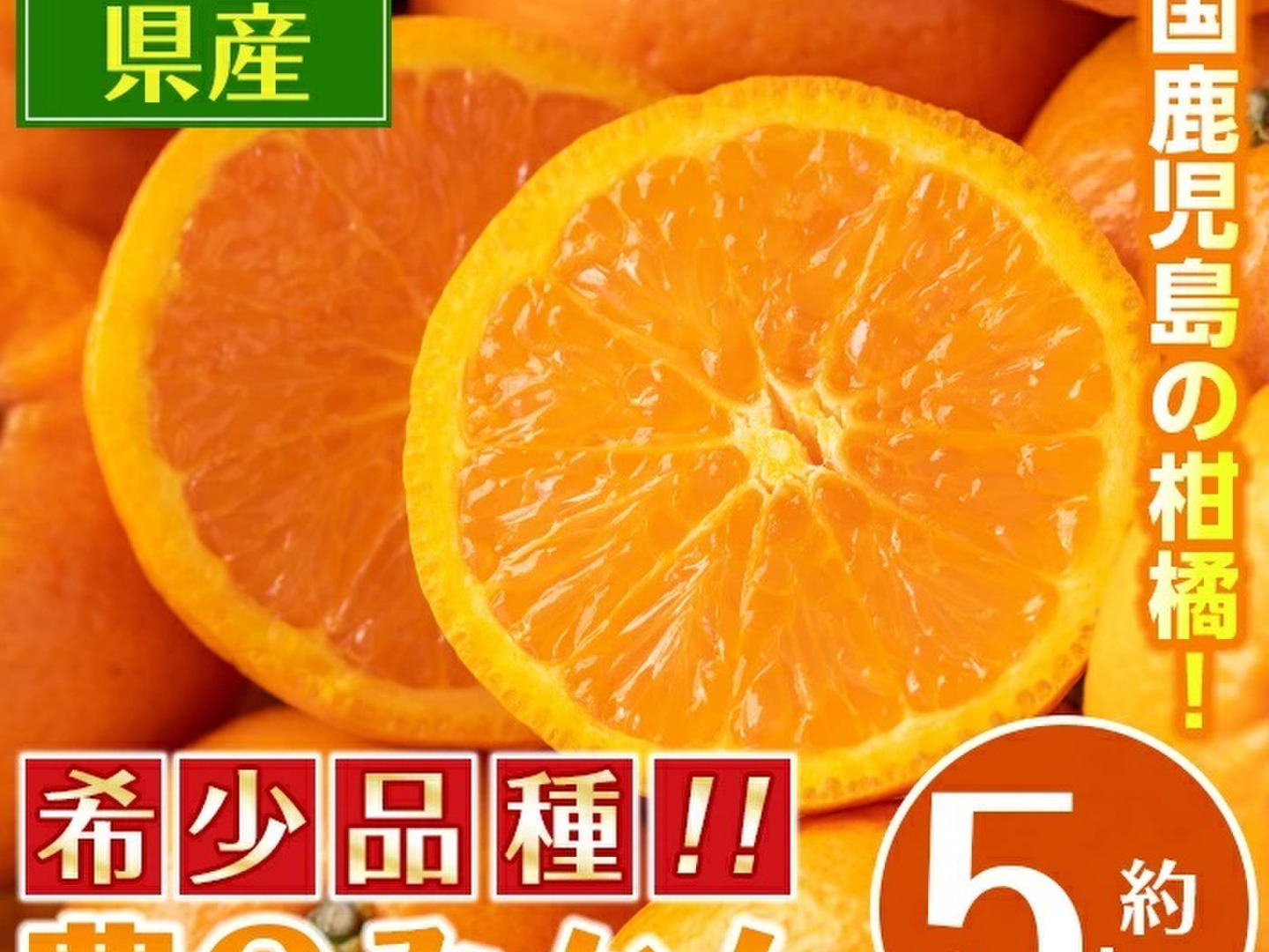 訳ありかんきつ中間母本農6号(のうろくみかん)約5K サイズ：混合