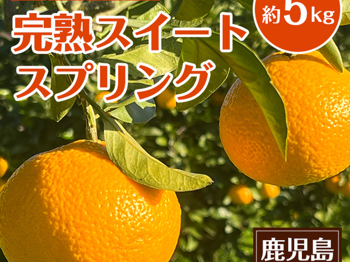 贈る結婚祝い f05eafde807d56b5f88883929ef48b 果物
