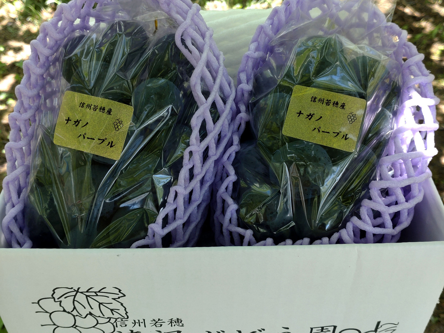 クール便】ご家庭用・信州産完熟ナガノパープル 2kg〜【朝取り！濃厚