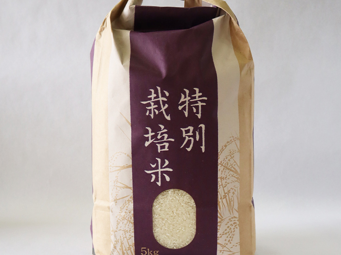 お米　専用出品【岩手県産銀河のしずく25kg】5kg×6 7年連続特A評価！ 令和7年新米予約】岩手県産 銀河のしずく 厳選プレミアム 5Kg