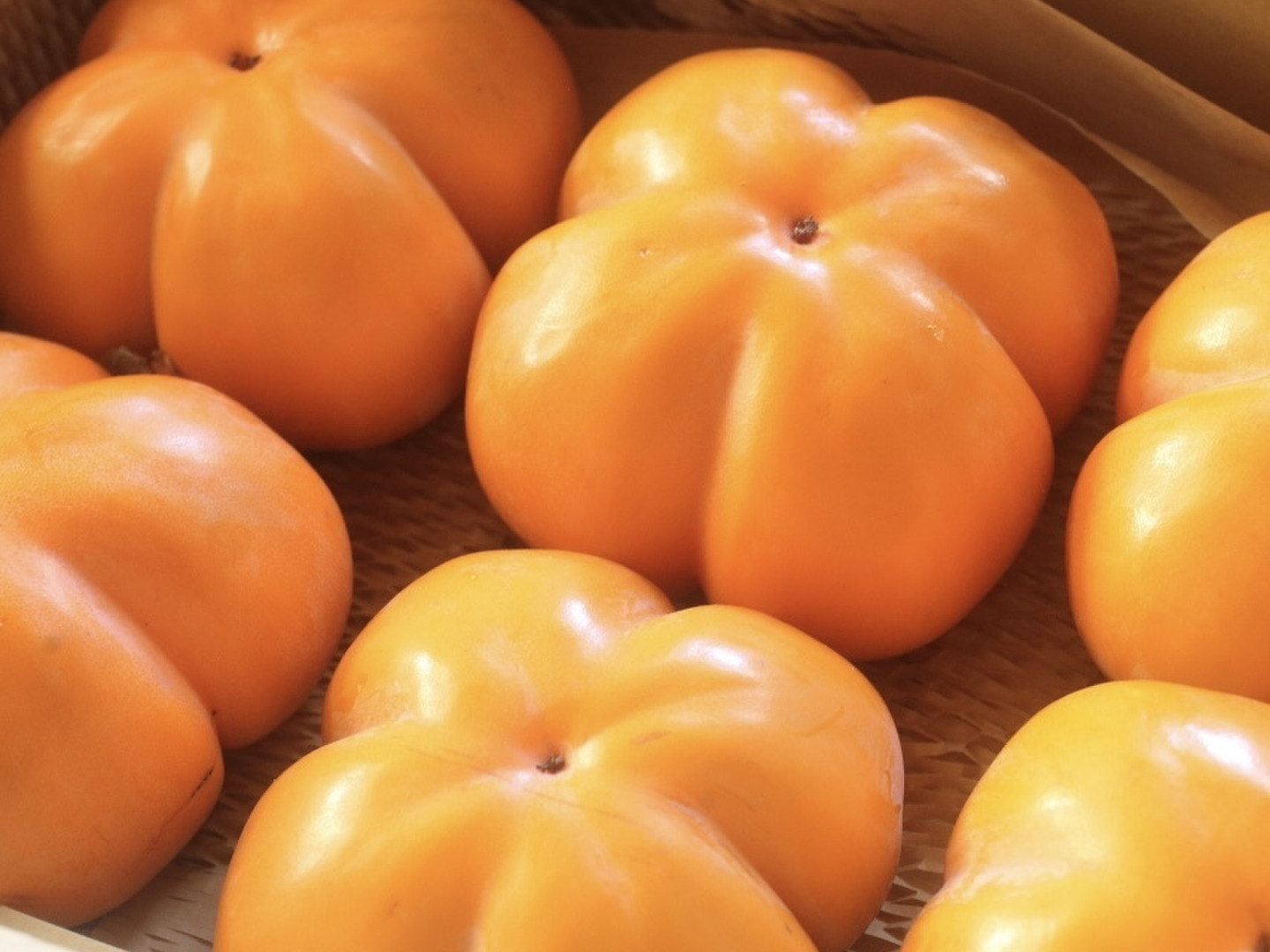 富山の四谷柿（よたんがき）家庭用1.2kg：富山県産のその他柿｜食べ