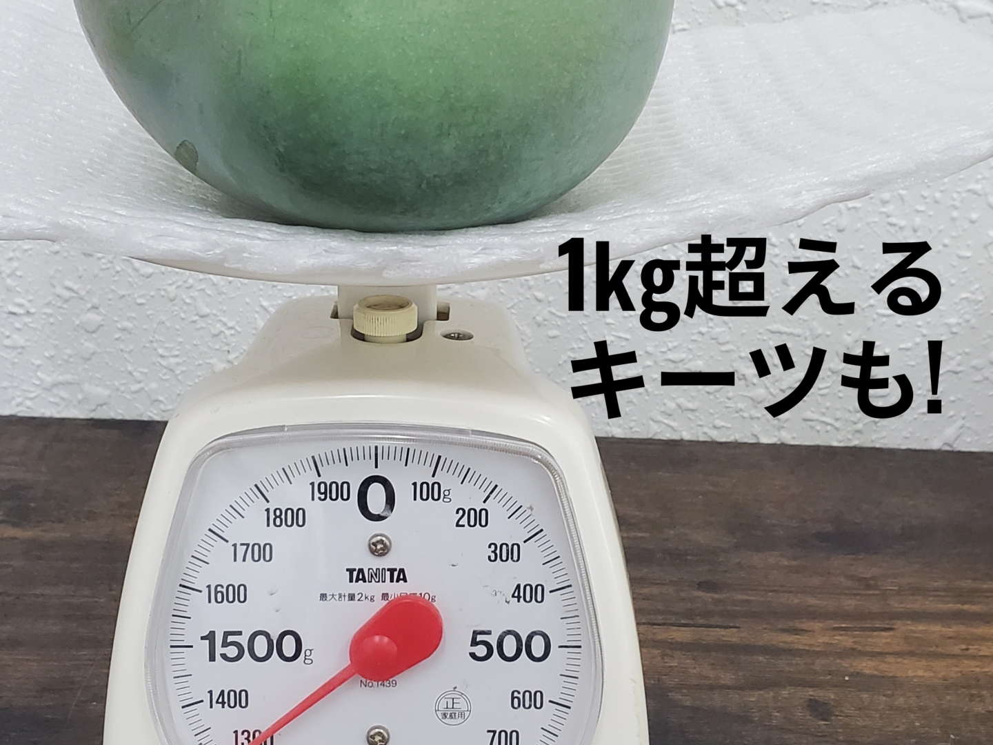 幻のマンゴー】宮古島産キーツマンゴー2㎏(2～3玉)：沖縄県産の
