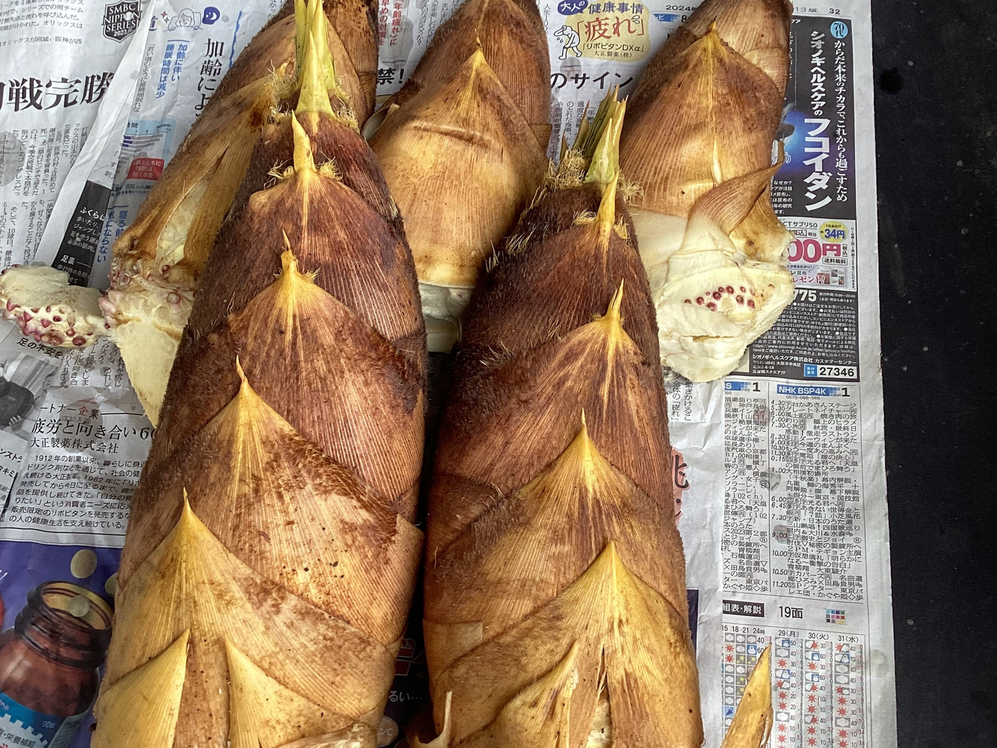 babanoriko | 先週末のことですが 毎年恒例たけのこ掘り