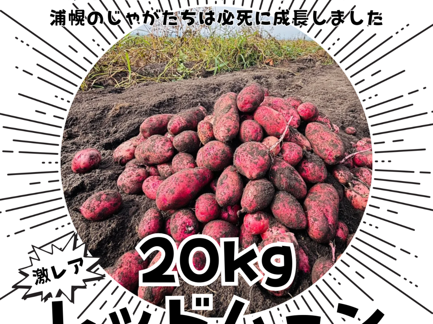 f659ffa1a7c3a293093e089ebcb084