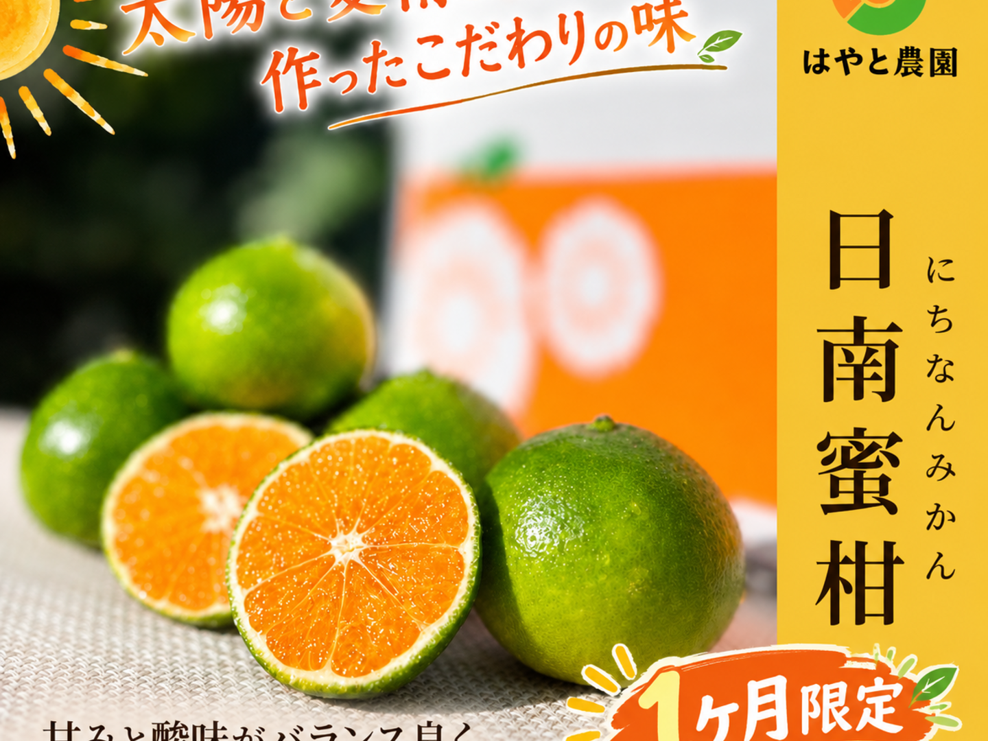 日南蜜柑 Sサイズ5kg】徳島県産 甘味・コク・果汁たっぷり自慢のはやと