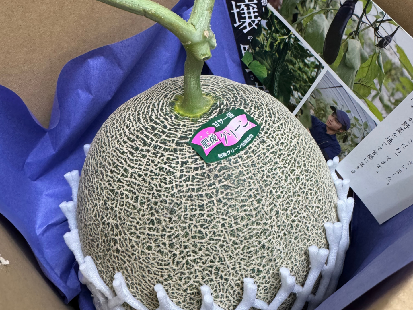 お歳暮 時期 激選】肥後グリーン！熊本県産糖度16度超えメロン 2個入り 4.0kg 果物