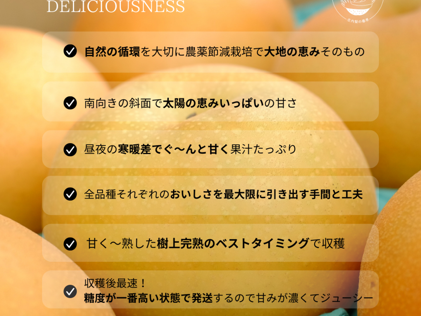 訳あり 天然クレソン20キロ 目安 クール便 湧き水育ち