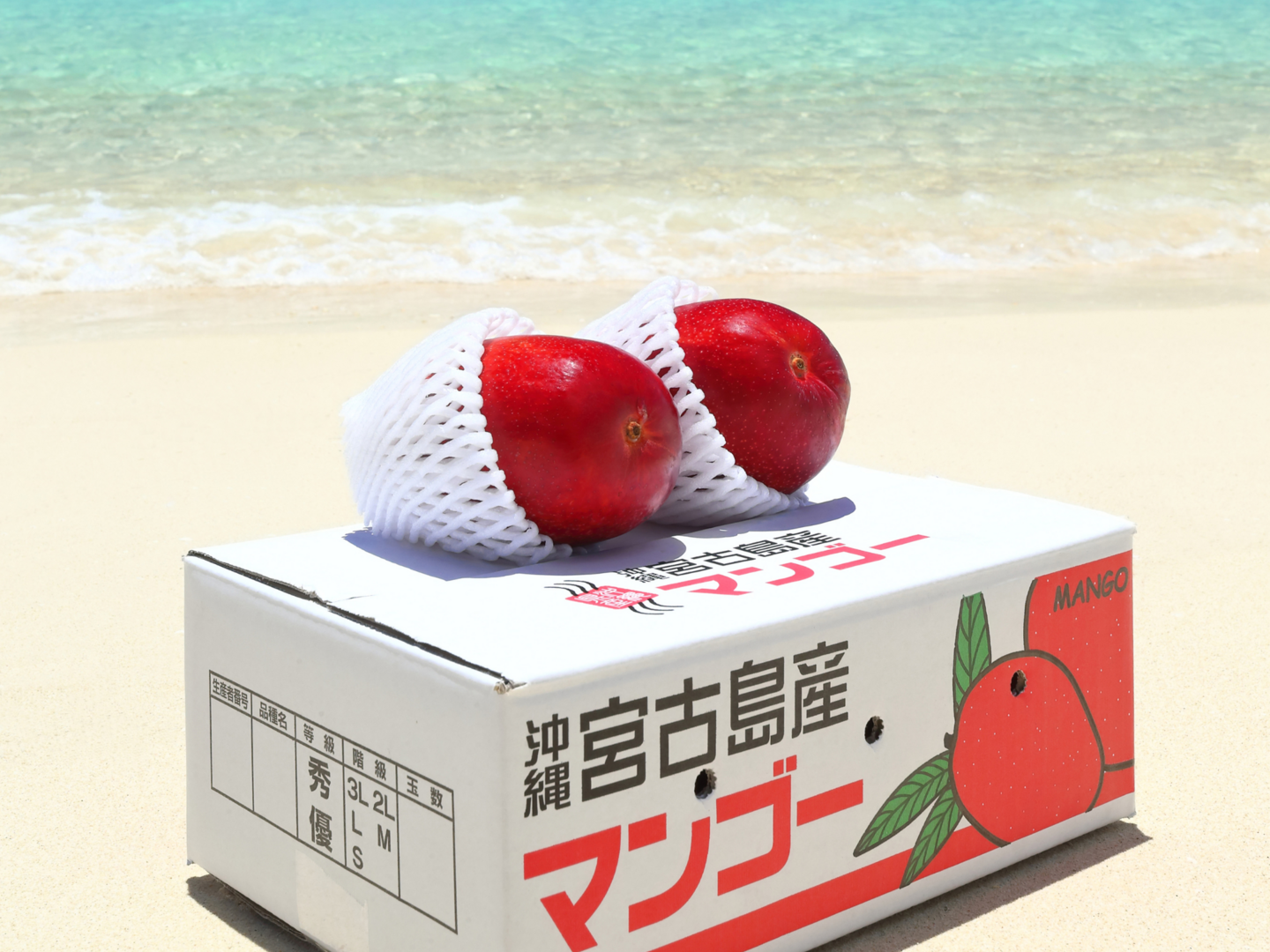 家庭用】宮古島産完熟マンゴー2㎏(4～6玉)：沖縄県産のその他