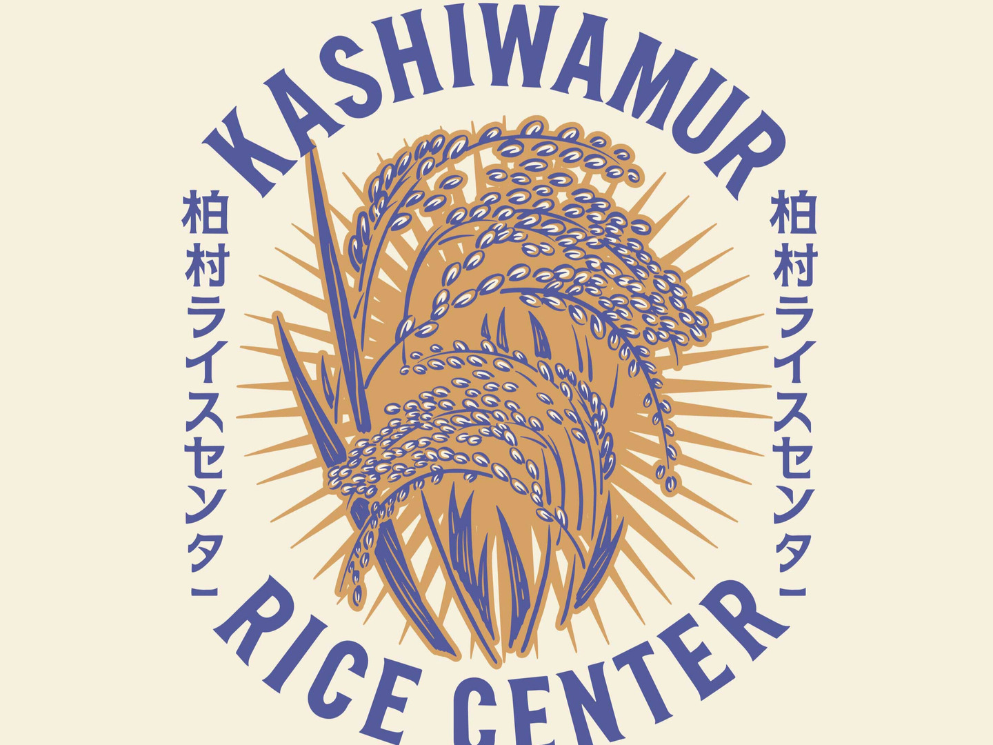 大定番！！【令和8年度 新米】茨城県産コシヒカリ精米10kg 農家直送