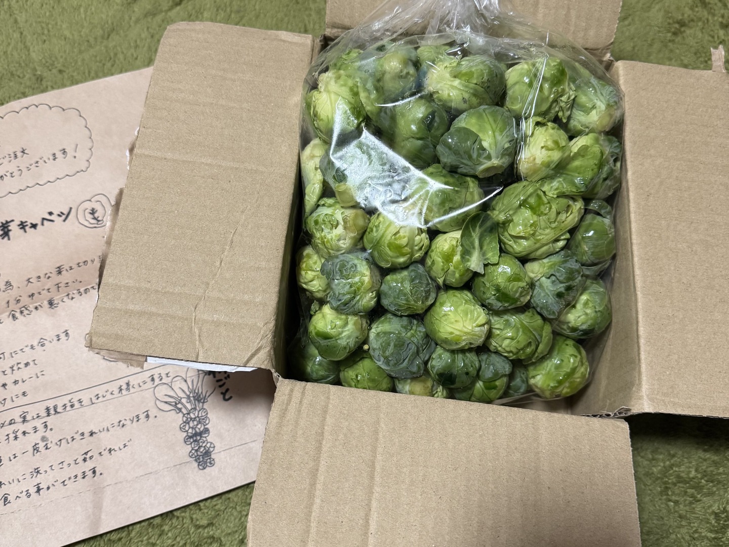 日本最大のブランド もうすぐ春ですね たぶん20%増量(^^♪】双葉農園の芽キャベツ 野菜