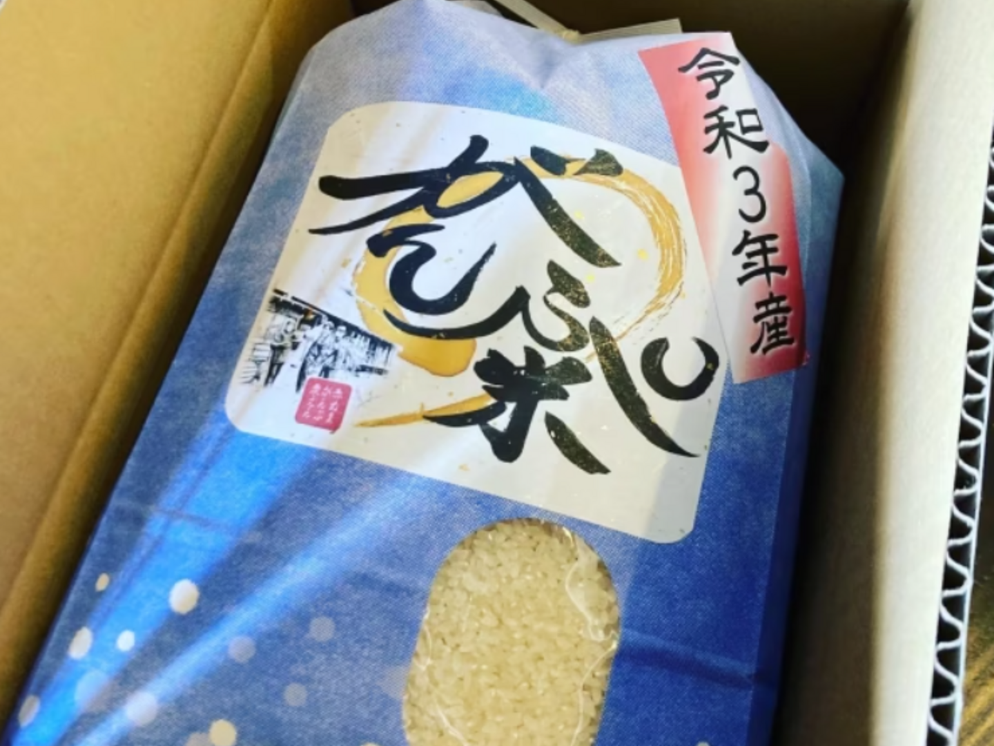 ▶︎特別栽培◀︎光之がんぷ米 海近くの自然の宝つぶ 20kg・精米