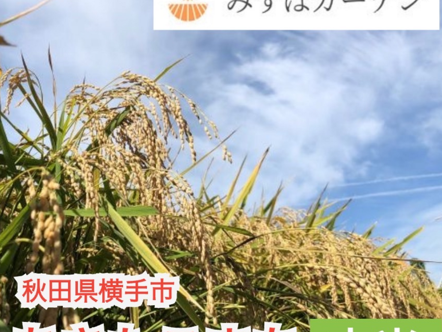 新米】令和7年産 あきたこまち 玄米30kg 農家直送 秋田県産 特別