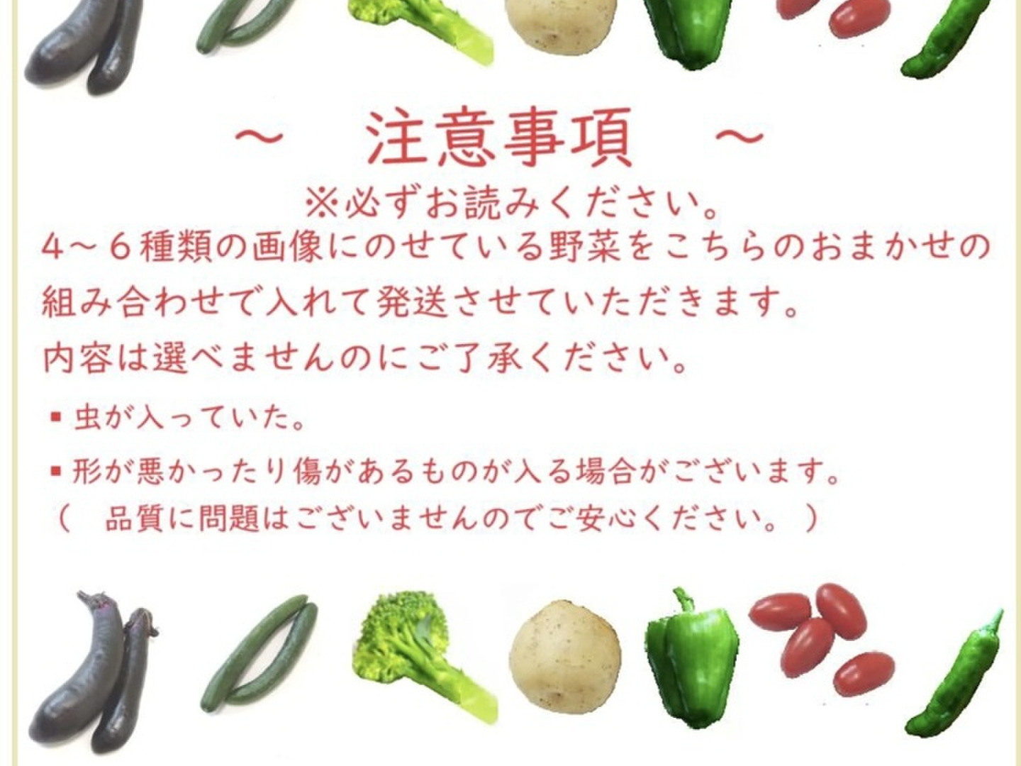 お任せ夏野菜4〜7品目 60サイズ：岡山県産の野菜セット｜食べ