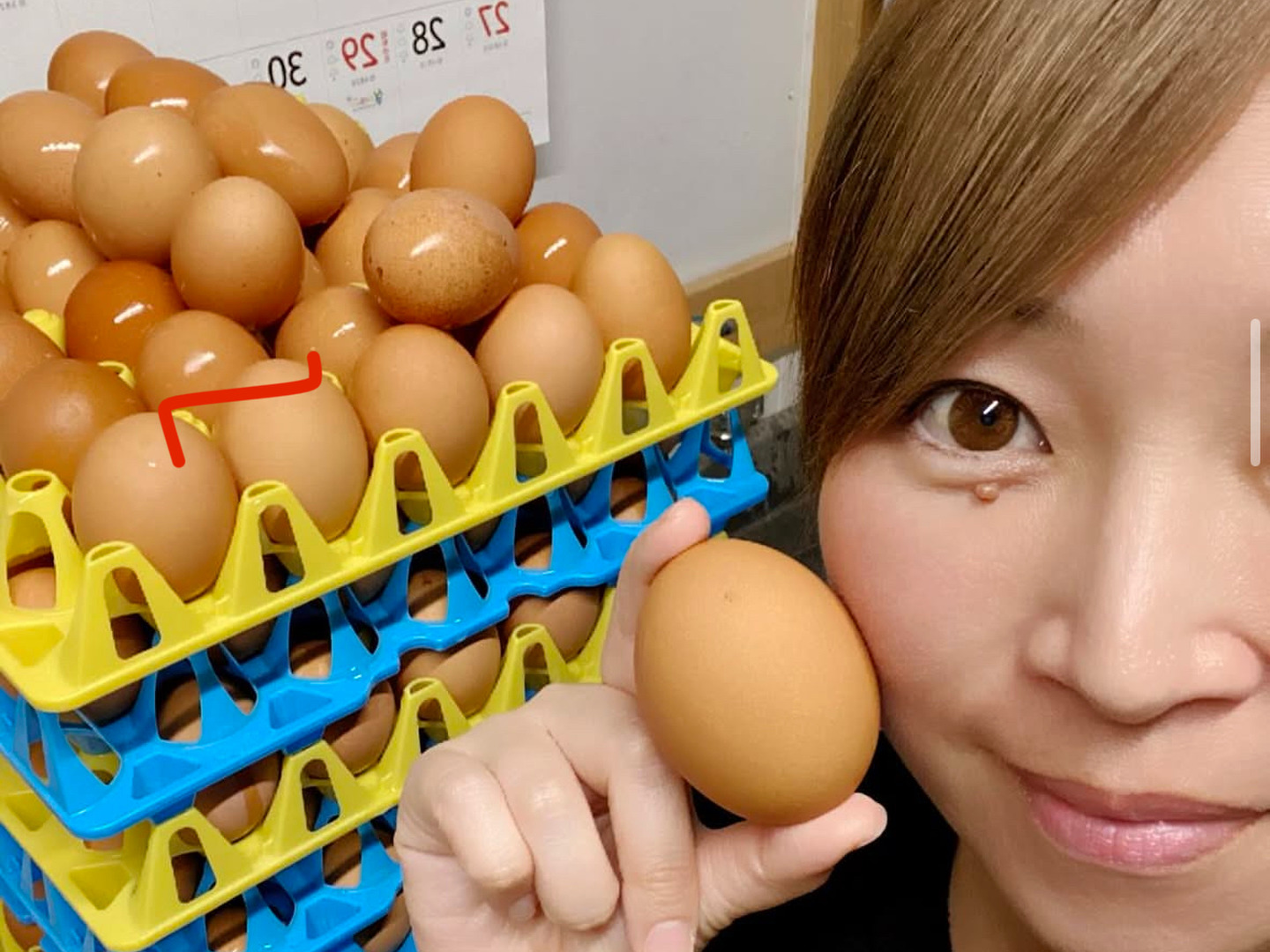 60個入 佐伯養鶏の平飼い卵：大分県産の平飼い｜食べチョク