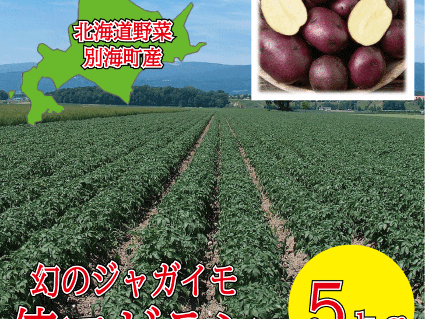 買得 幻のジャガイモ 俵マゼラン 5kg：北海道産の 『北海道産』 野菜