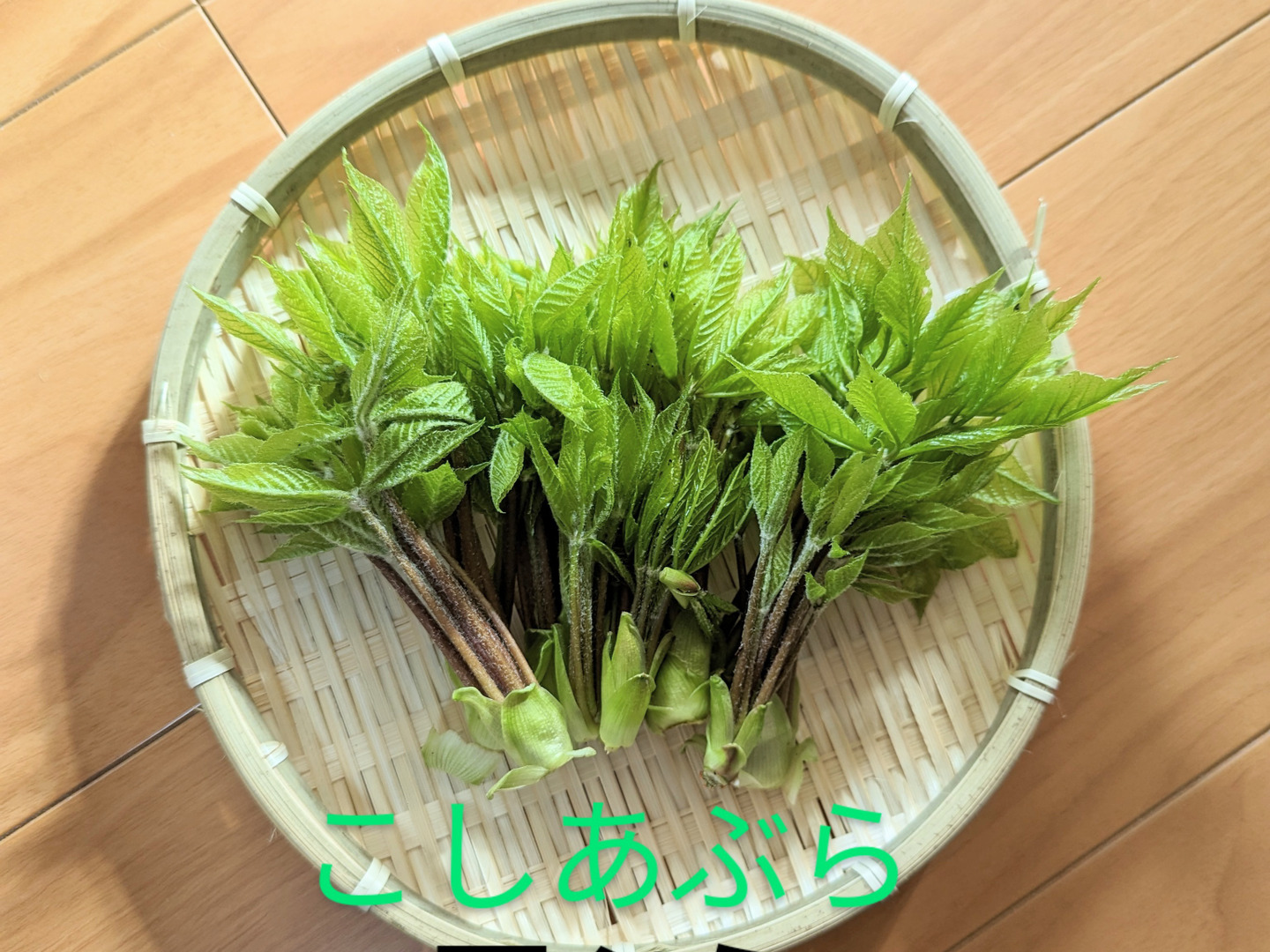 【ゲリラSALE中】山形県産月山筍　天然無農薬　上級品　　朝採り即日発送 ゲリラSALE中】山形県産月山筍 天然無農薬 上級品 朝採り即日