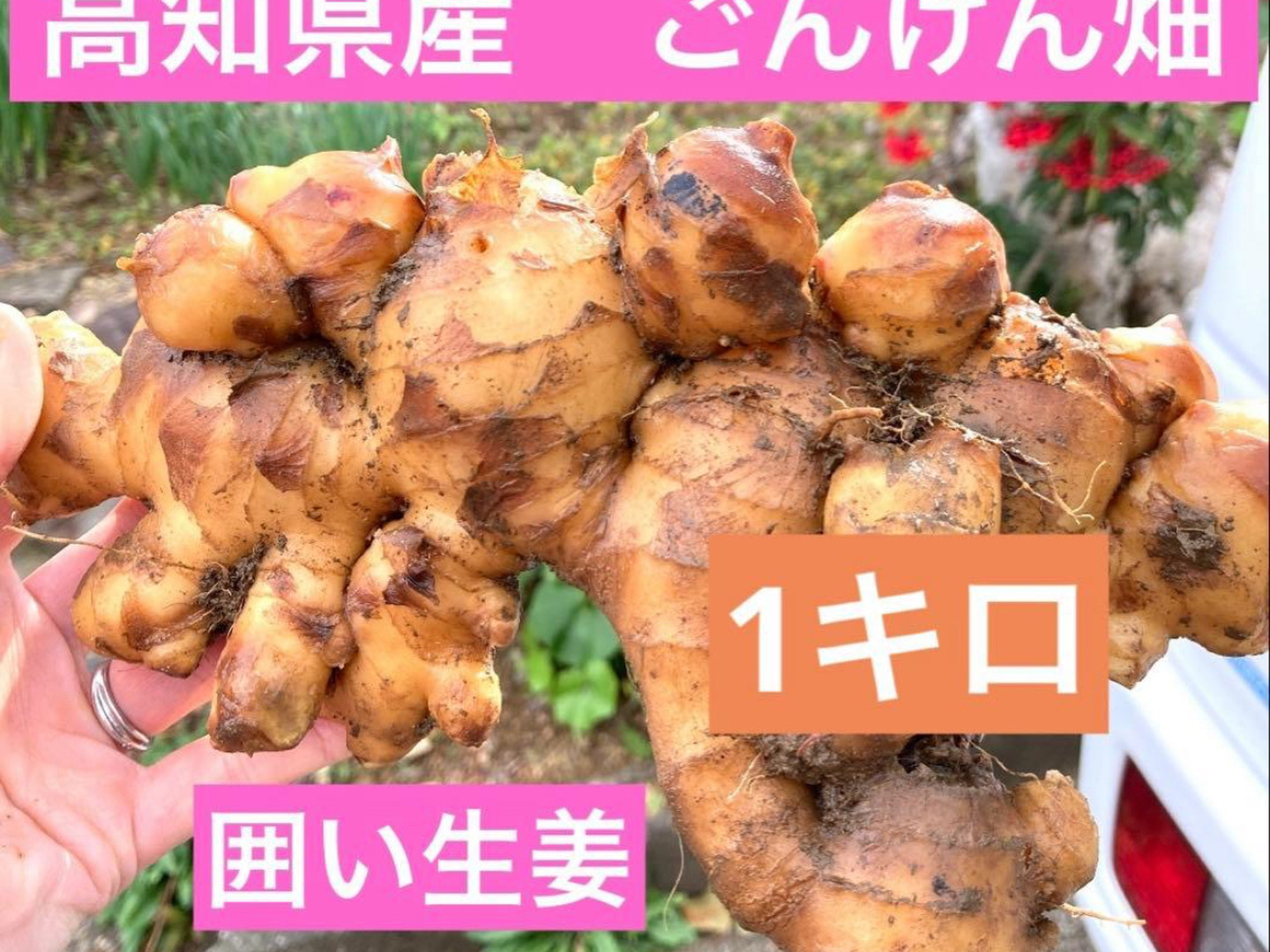 a695cf541ef5a6663b00953cbae0b6