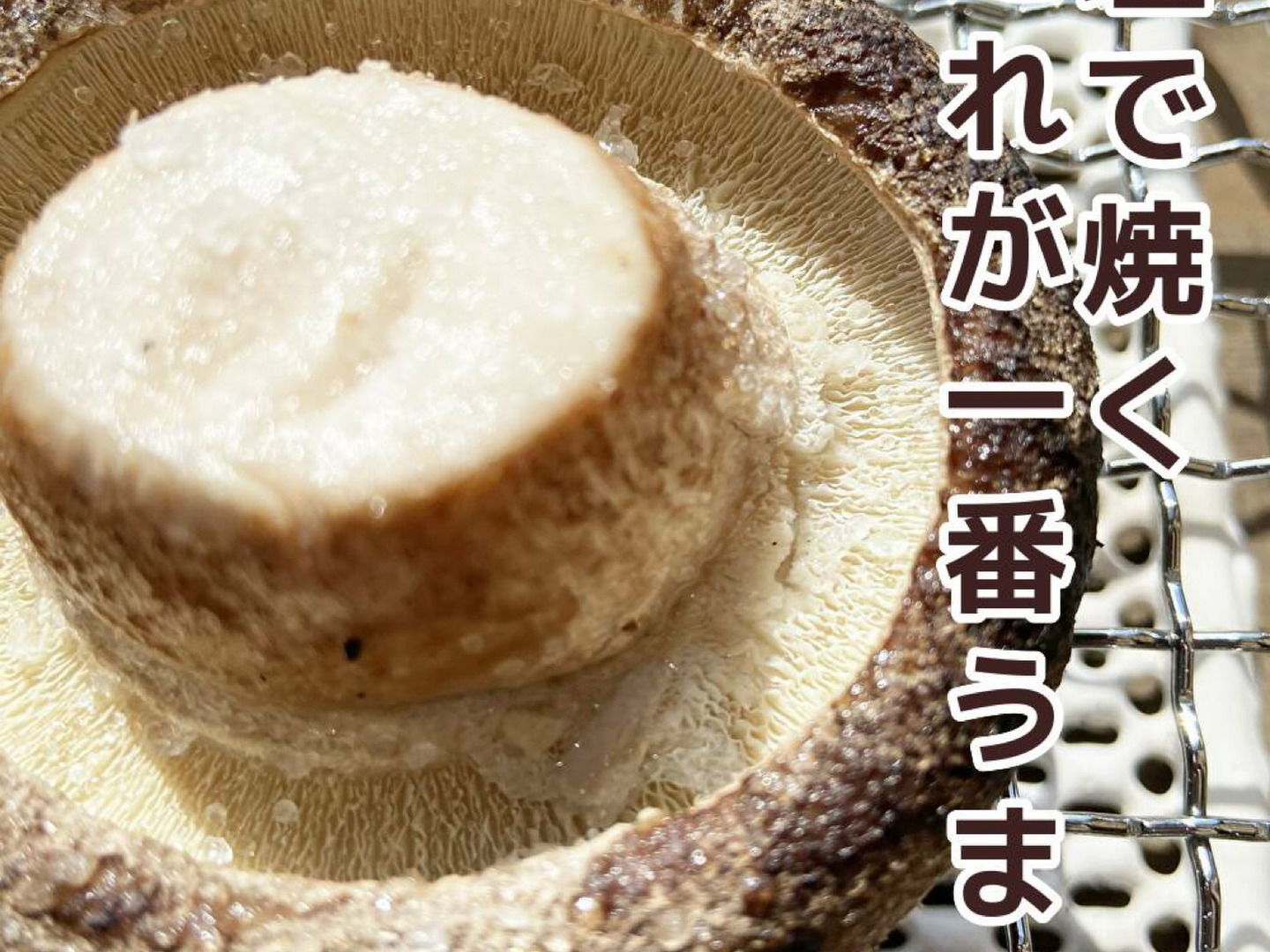 「高評価！」注目のレビュ 125c3491b162d02c9602ad4a11be04 野菜