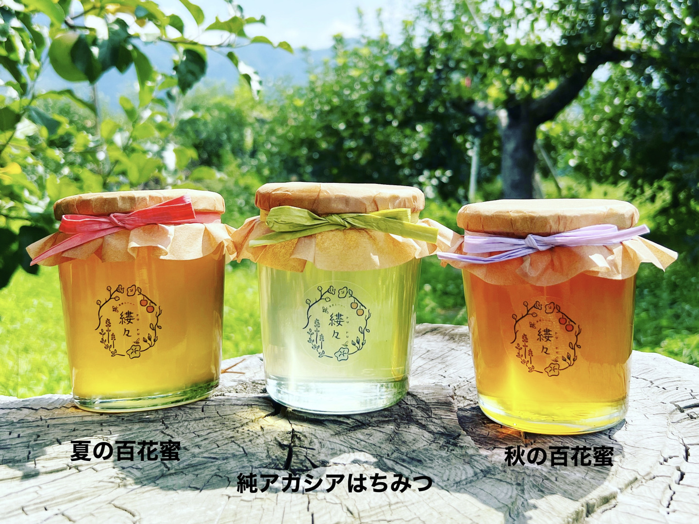 信州百花蜂蜜 300g × 6本セット – 国産蜂蜜通販は信州蜂蜜本舗