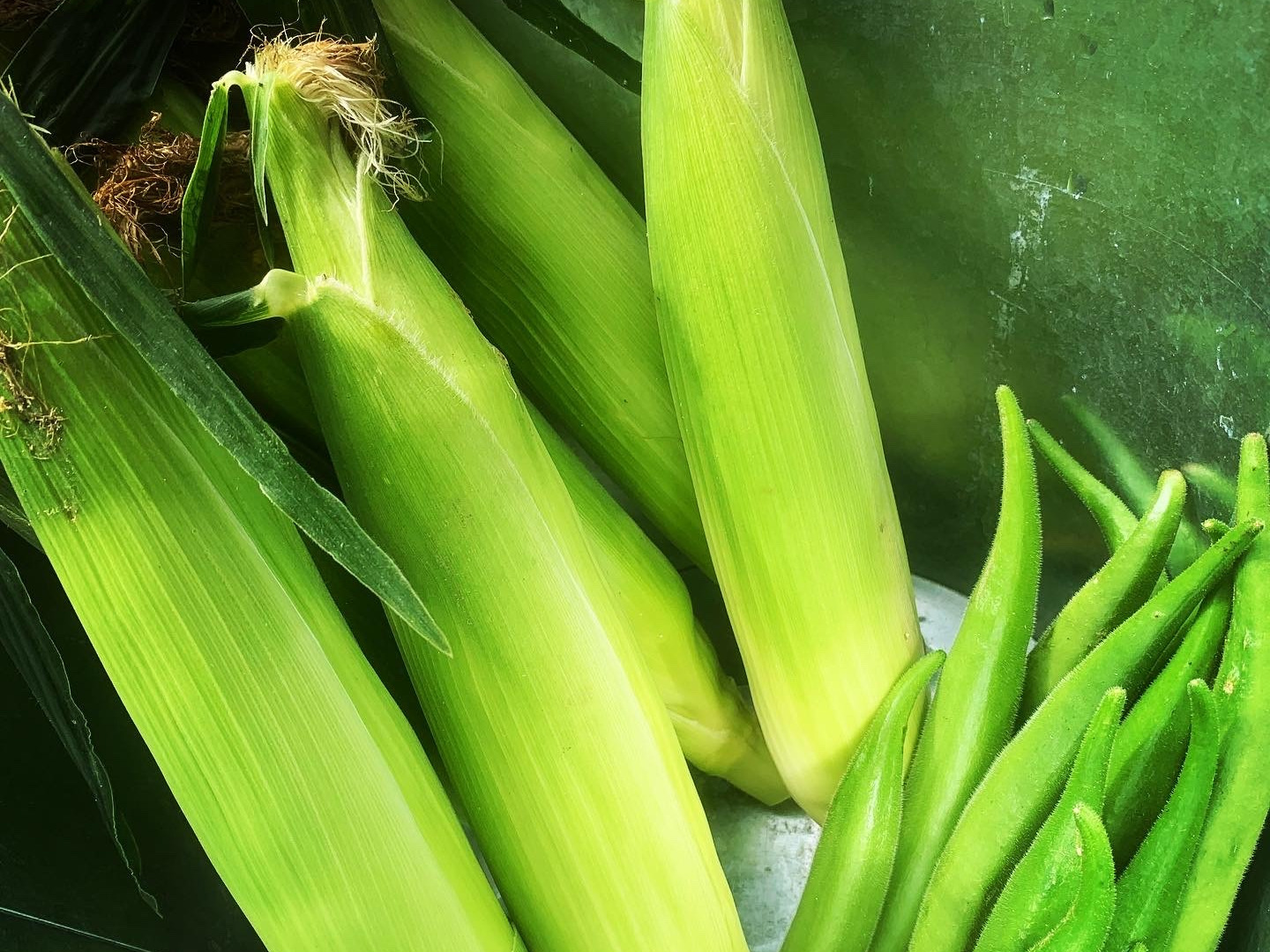 Sサイズ【栽培期間中農薬不使用】季節のお野菜詰め合わせ[5〜6